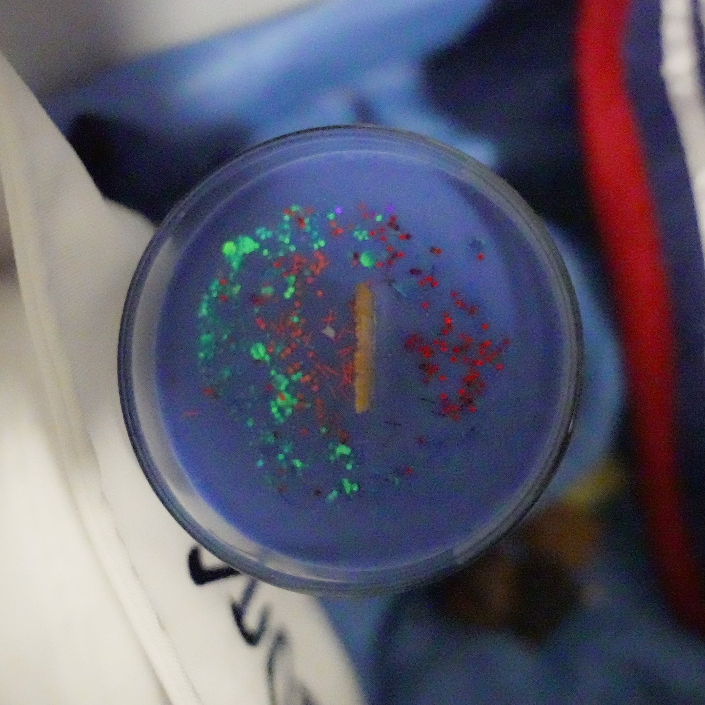 [LIMITED] SCOOPS AHOY - Stranger Things inspired Soy Candle 300 ML