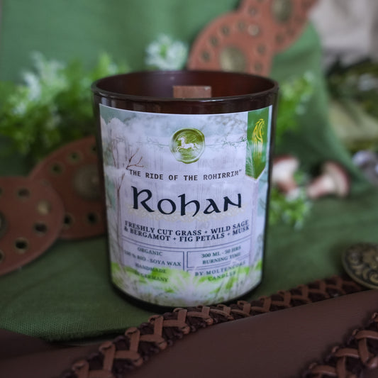 ROHAN inspired candle -  LOTR inspired soy candle 300 ML